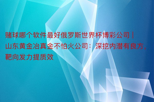 赌球哪个软件最好俄罗斯世界杯博彩公司 | 山东黄金冶真金不怕火公司：深挖内潜有良方，靶向发力提质效