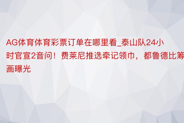 AG体育体育彩票订单在哪里看_泰山队24小时官宣2音问！费莱尼推选牵记领巾，都鲁德比筹画曝光