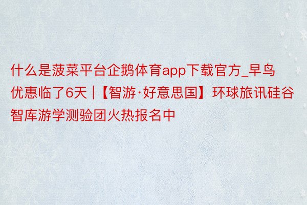 什么是菠菜平台企鹅体育app下载官方_早鸟优惠临了6天 |【智游·好意思国】环球旅讯硅谷智库游学测验团火热报名中